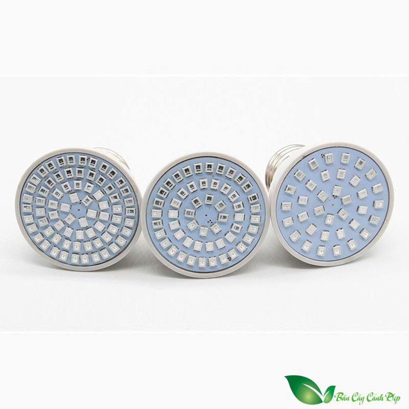 Bóng đèn LED sưởi ấm