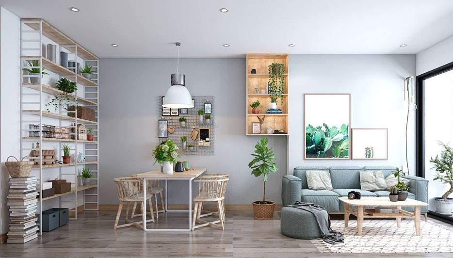 cây bàng singapore đặt trong phòng khách