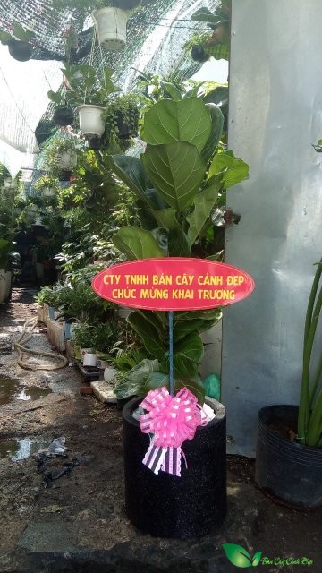 Chậu xi măng tròn đứng 30x30 màu đen