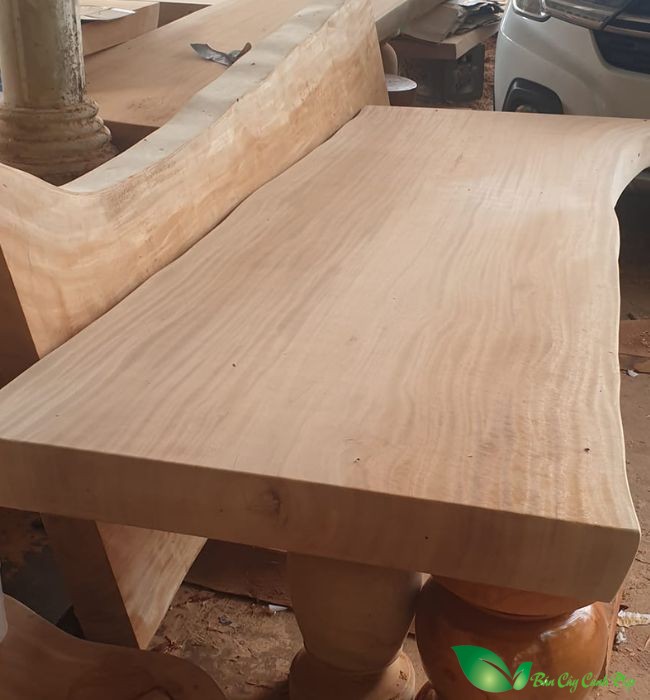 gỗ xà cừ