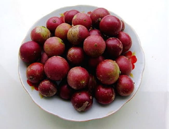 Quả Bồ Quân