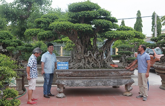 Siêu cây Thành đồng Tổ quốc